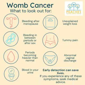 Awareness month Signs & Symptoms Womb Cancer signs and symptoms, icons representing various signs and symptoms