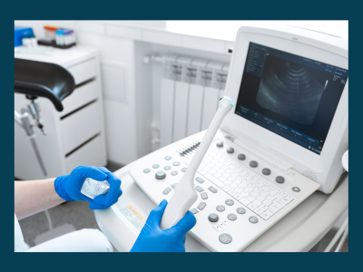 transvaginal probe being held in front of monitor