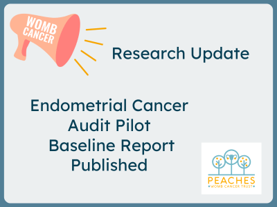 Research update announcement - Endometrial audit pilot baseline report published