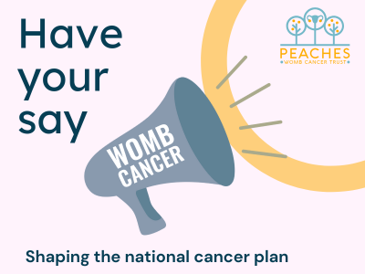 Have your say, loudspeaker with white text 'womb cancer' above Shaping the national cancer plan